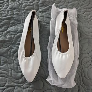 Ballet pointed toe flats